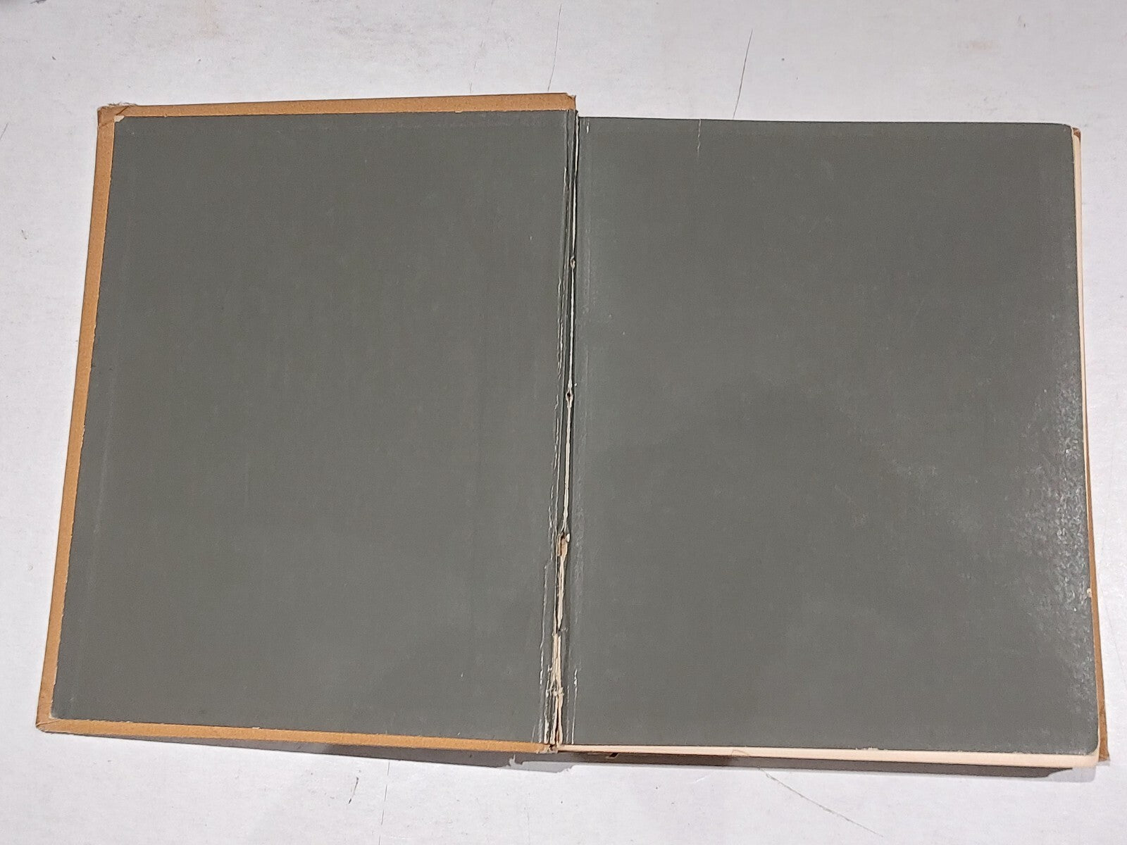Echoes of the Aesthetic Society Of Jersey City, Thompson & Moreau (1882) Hb Book2