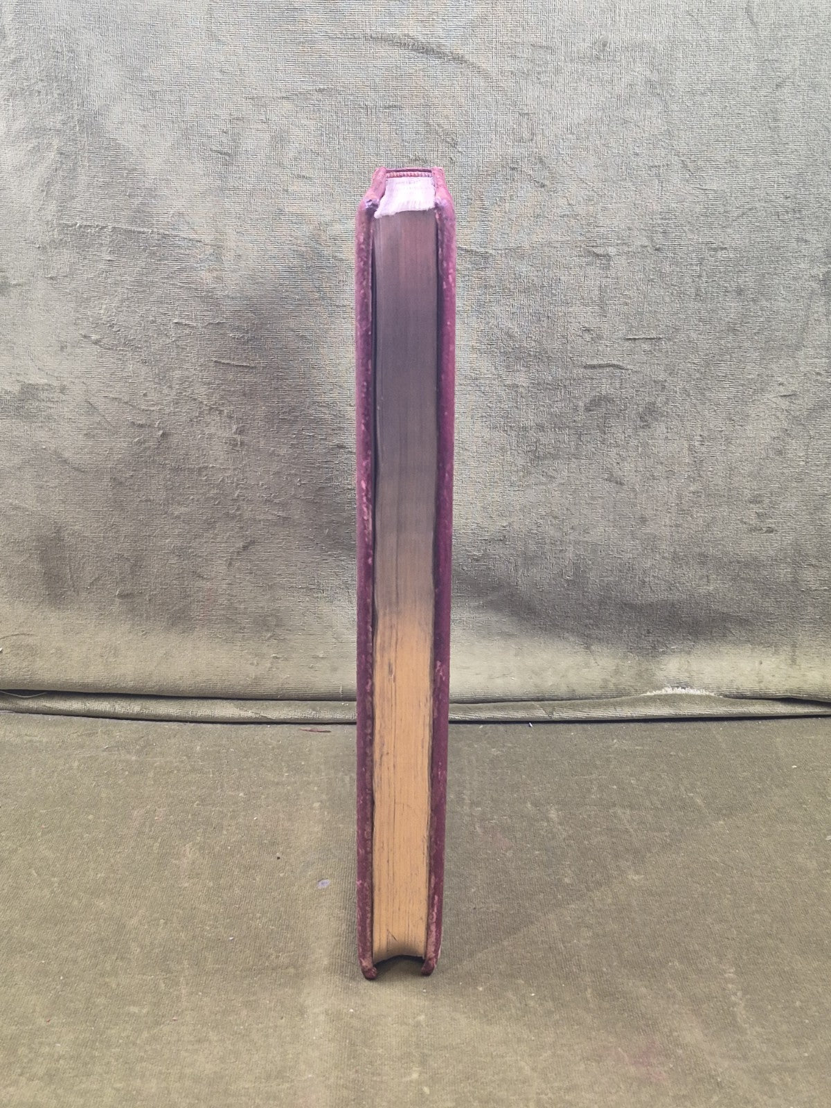 Men of the Period / Scotland - Records of a Great Country 1st 1896 Leather Gilt8