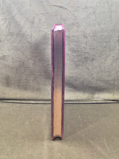 Men of the Period / Scotland - Records of a Great Country 1st 1896 Leather Gilt8