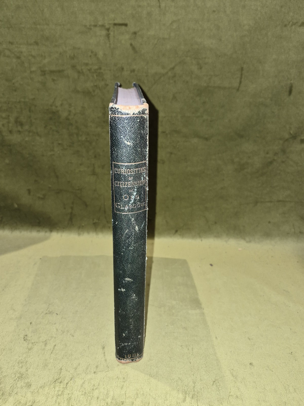 Curiosities of Glasgow Citizenship -  George Stewart - 1st Edition 18814