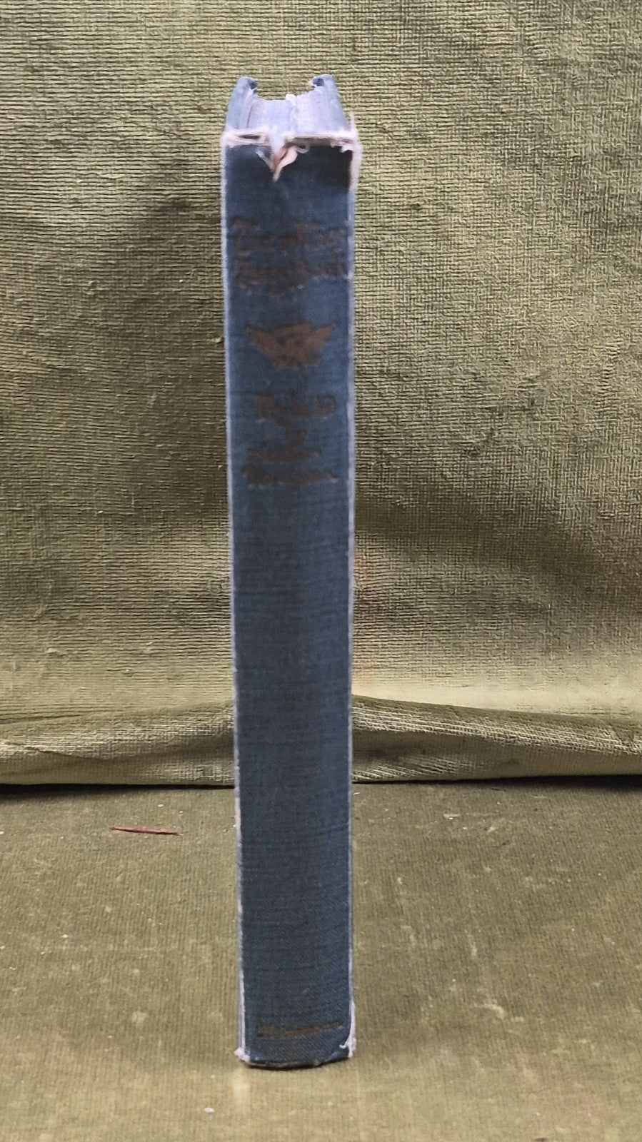 The Allies' Fairy Book by Edmund Gosse, Illustrated by Arthur Rackham -Macmillan2