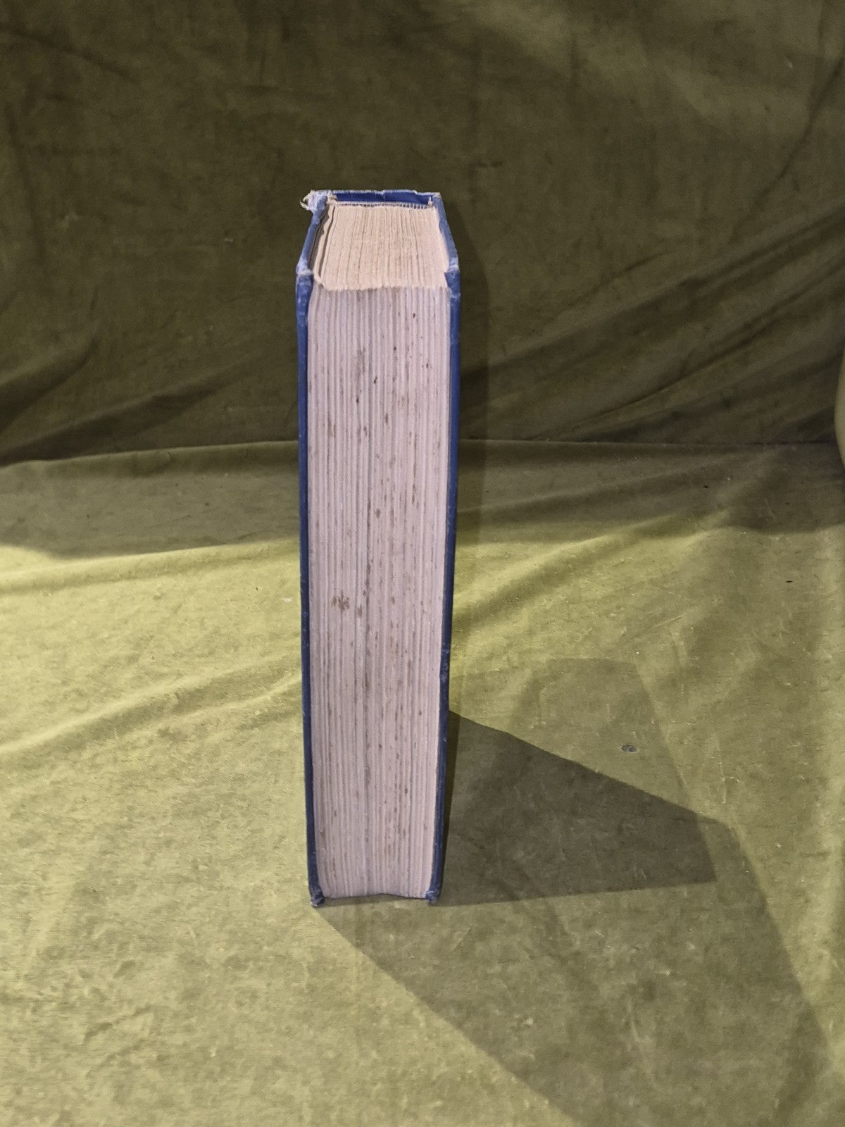 An Autobiography - Richard Burdon Haldane Hardcover 19294