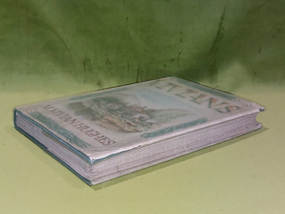 Vivians by Mary Vivian Hughes First Edition 1935 [Oxford University Press] Hb7