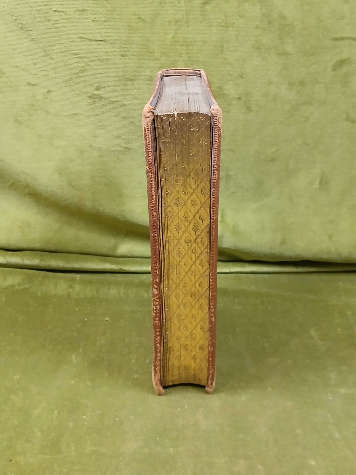 The  Lay of the Last Minstrel - Sir Walter Scott , A & C Black , 1854 Decorative7