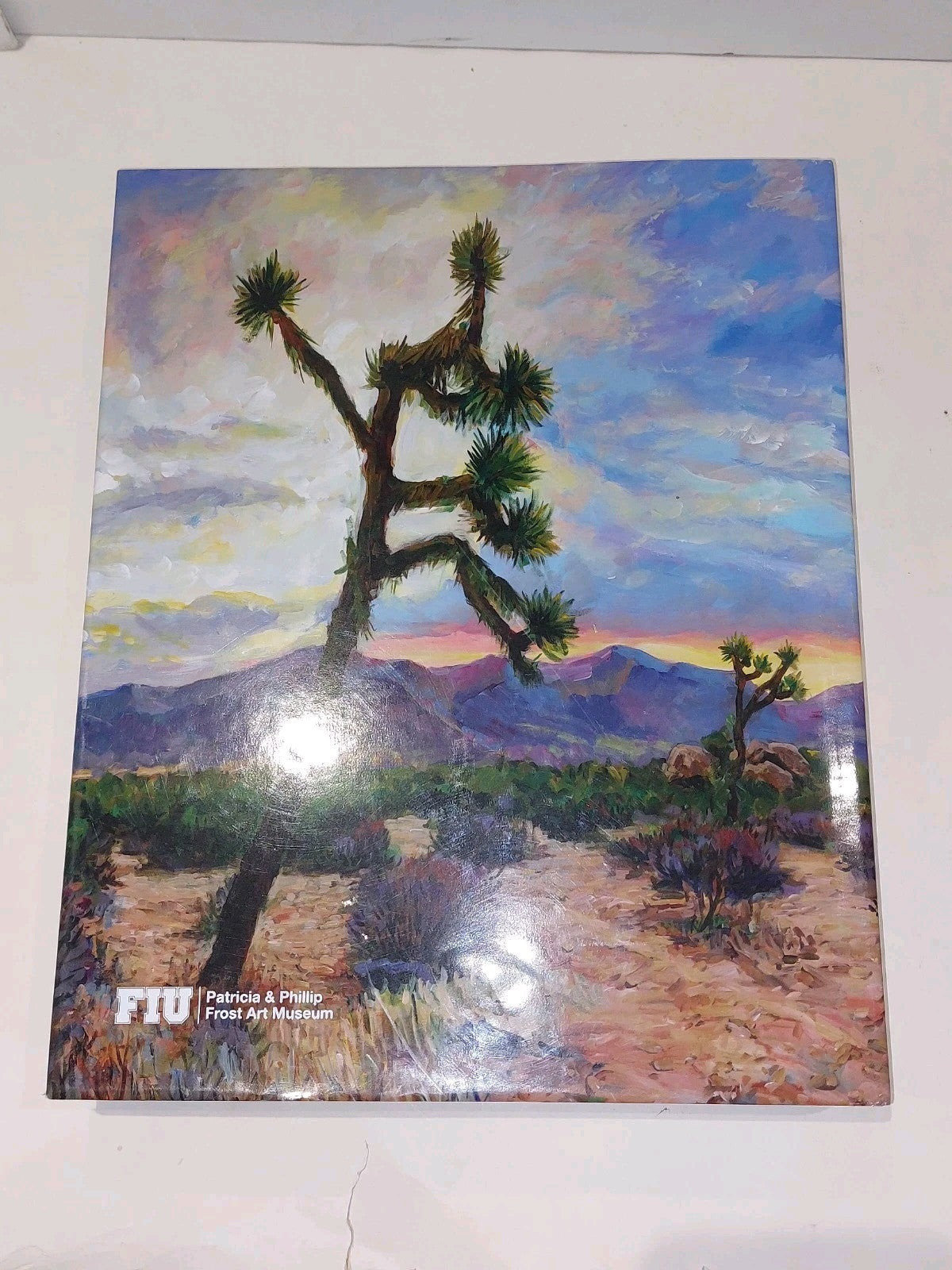 Bob Dylan : Retrospectrum (2022) [Patricia & Philip Frost] 1st Ed Large Book2