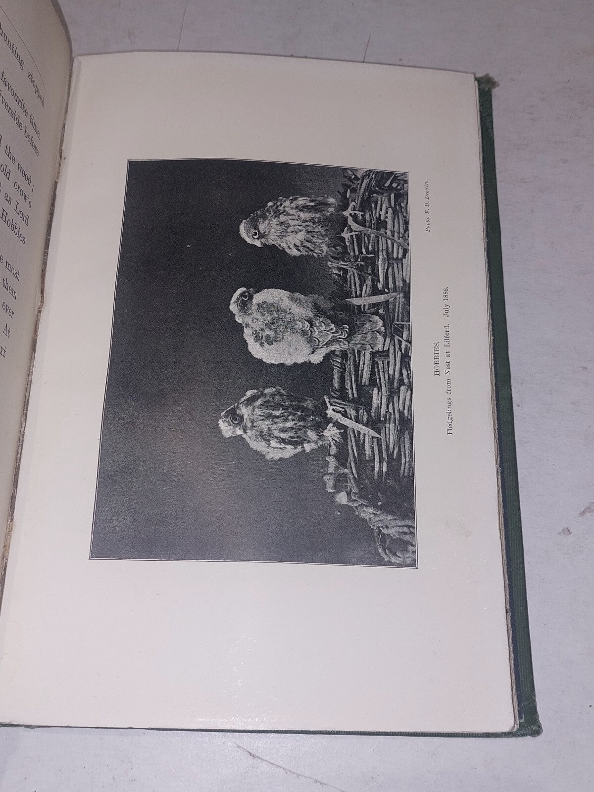 Lord Lilford - Thomas Littleton, Fourth Baron (1900) Smith, Elder & Co Hb Book7