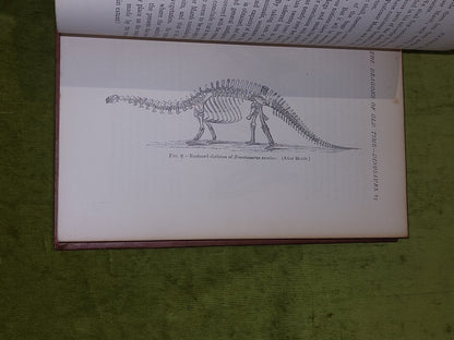 Extinct Monsters - Rev H N Hutchinson (1897) [Chapman & Hall] 5th Ed Hb Book7