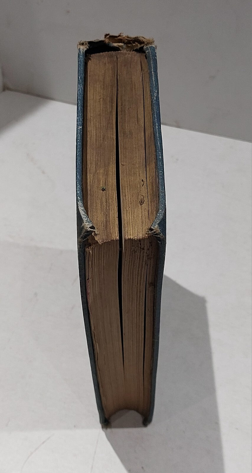 "Lochs and Loch Fishing" by Hamish Stuart 1899 edition1