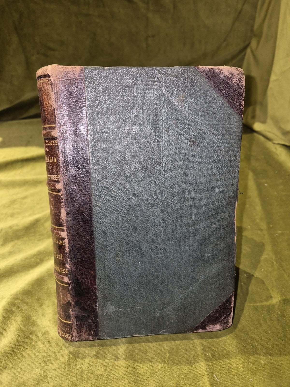 Divina Commedia Dante illustrated by Luigi Ademollo copper plates Devine Comedy1