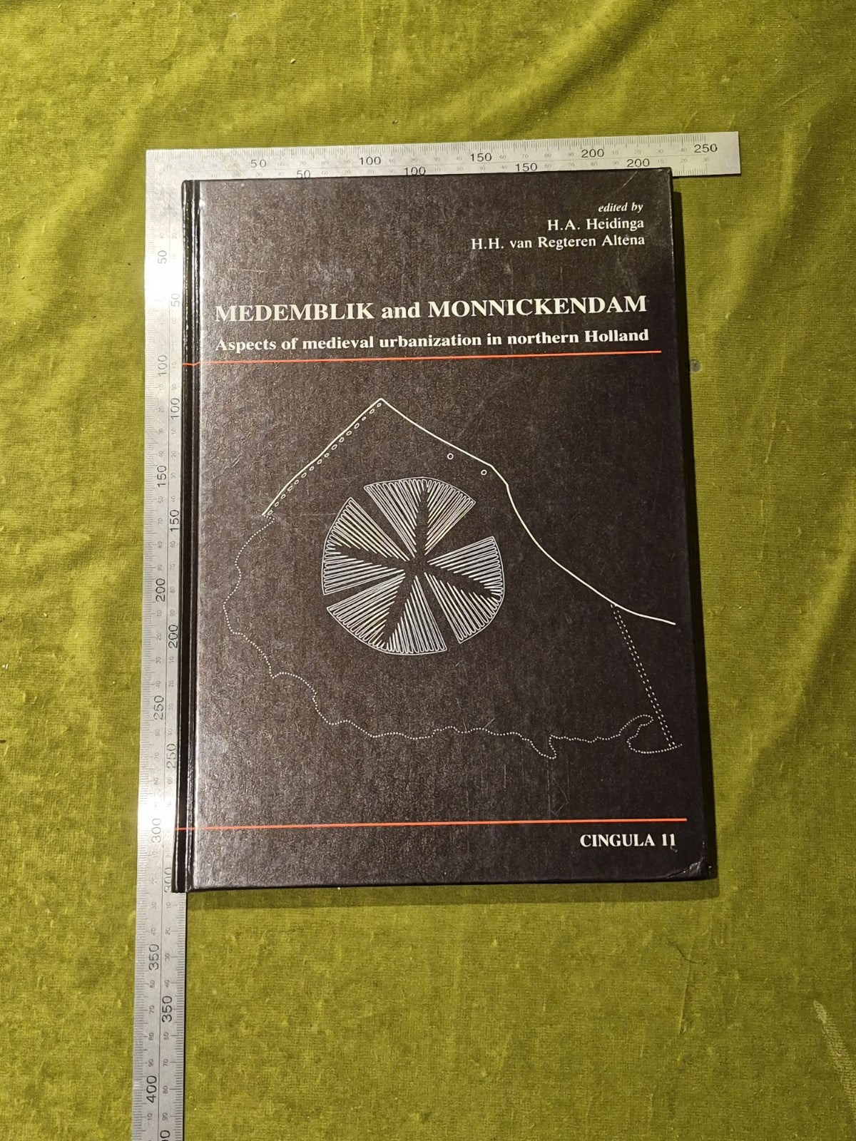 Medemblik and Monnickendam: Aspects of medieval Urbanization in Northern Holland3