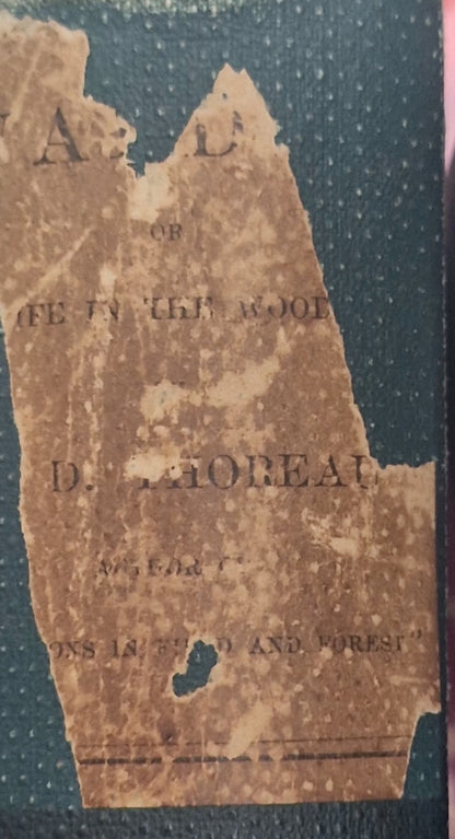Walden Or Life In The Woods (1884)  Thoreau. 1st Uk Ed. Edinburgh: David Douglas8