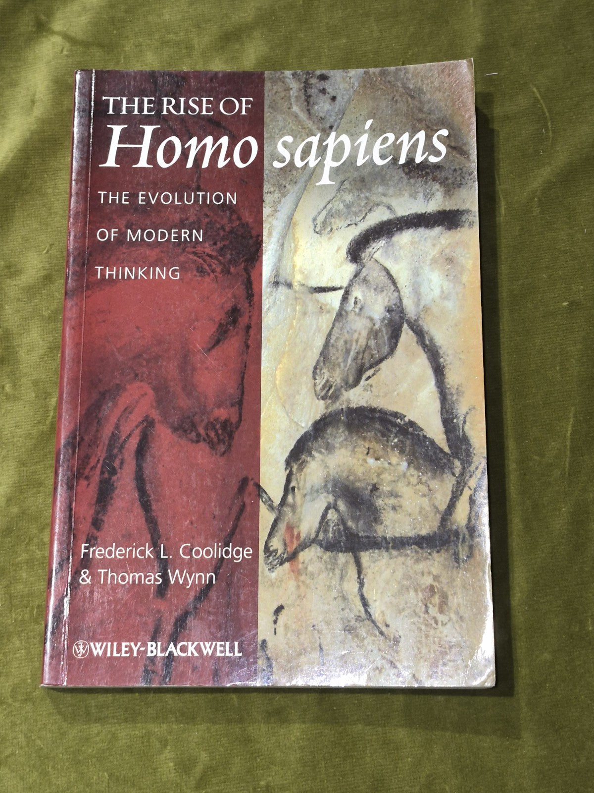 Rise of Homo Sapiens: the Evolution of Modern Thinking by Coolidge and Wynn0