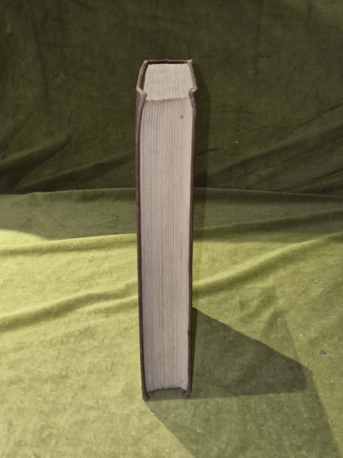 The New World of Islam - Lothorp Stoddard , Chapman & Hall 1st edition 1921 HB7