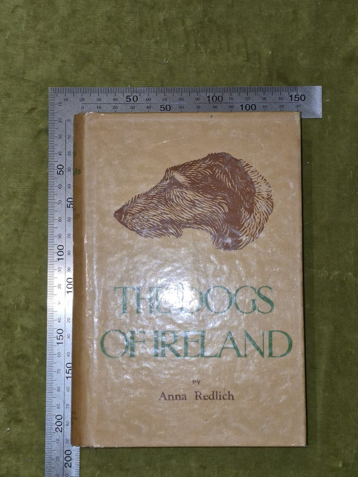 The Dogs of Ireland – 1st Ed 1949 – Anna Redlich – Irish Breeds – w/ Dust Jacket5