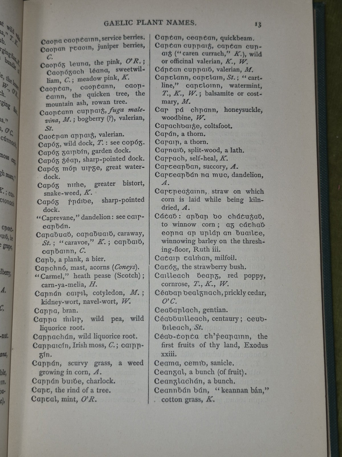 Luibleabran Irish and Scottish Gaelic Names Herbs Plants Trees Edmund Hogan 19006