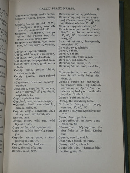 Luibleabran Irish and Scottish Gaelic Names Herbs Plants Trees Edmund Hogan 19006