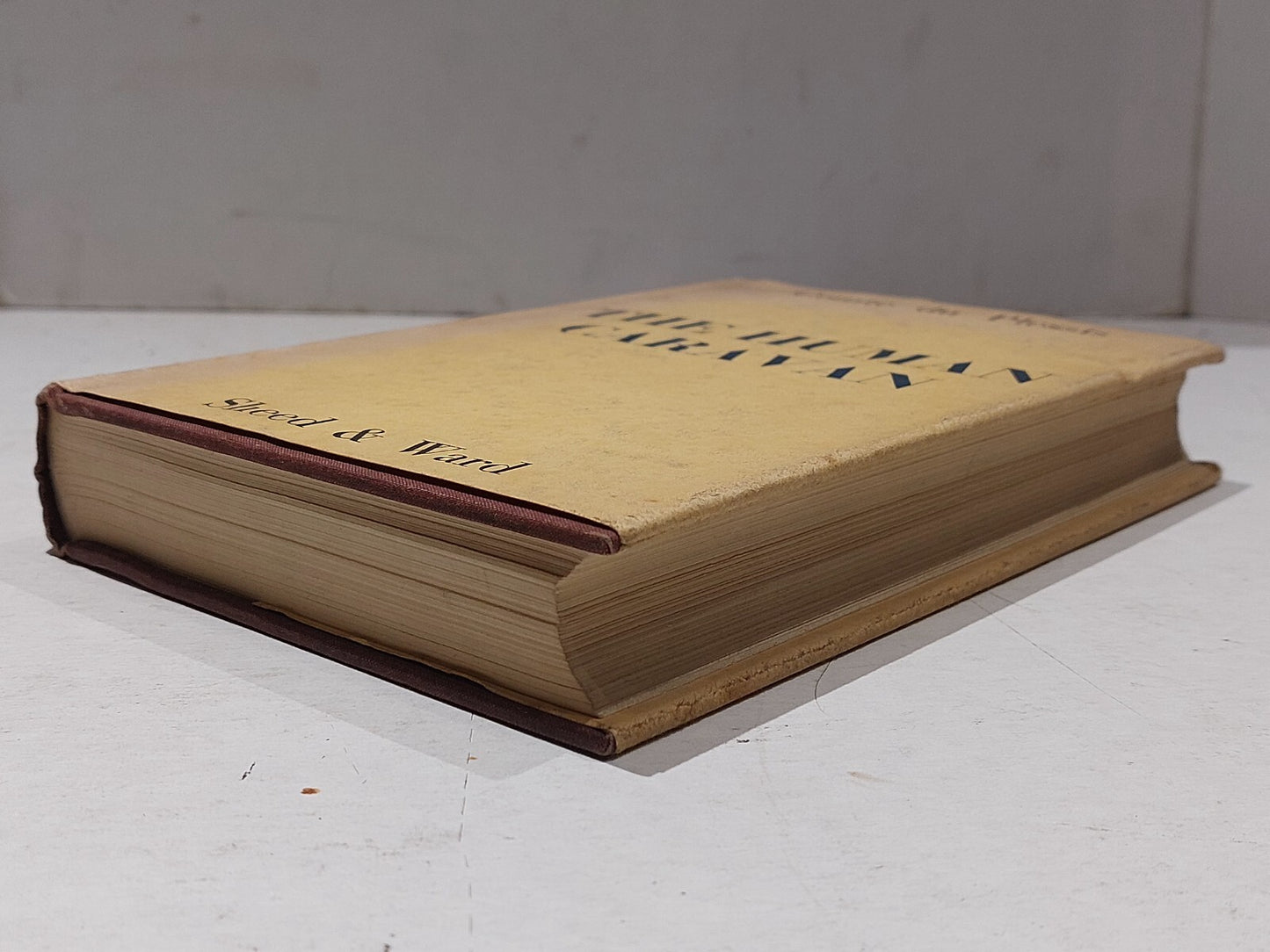 The Human Caravan By Comte / Jean Du Plessis, Sheed & Ward (1938) Hb Book5