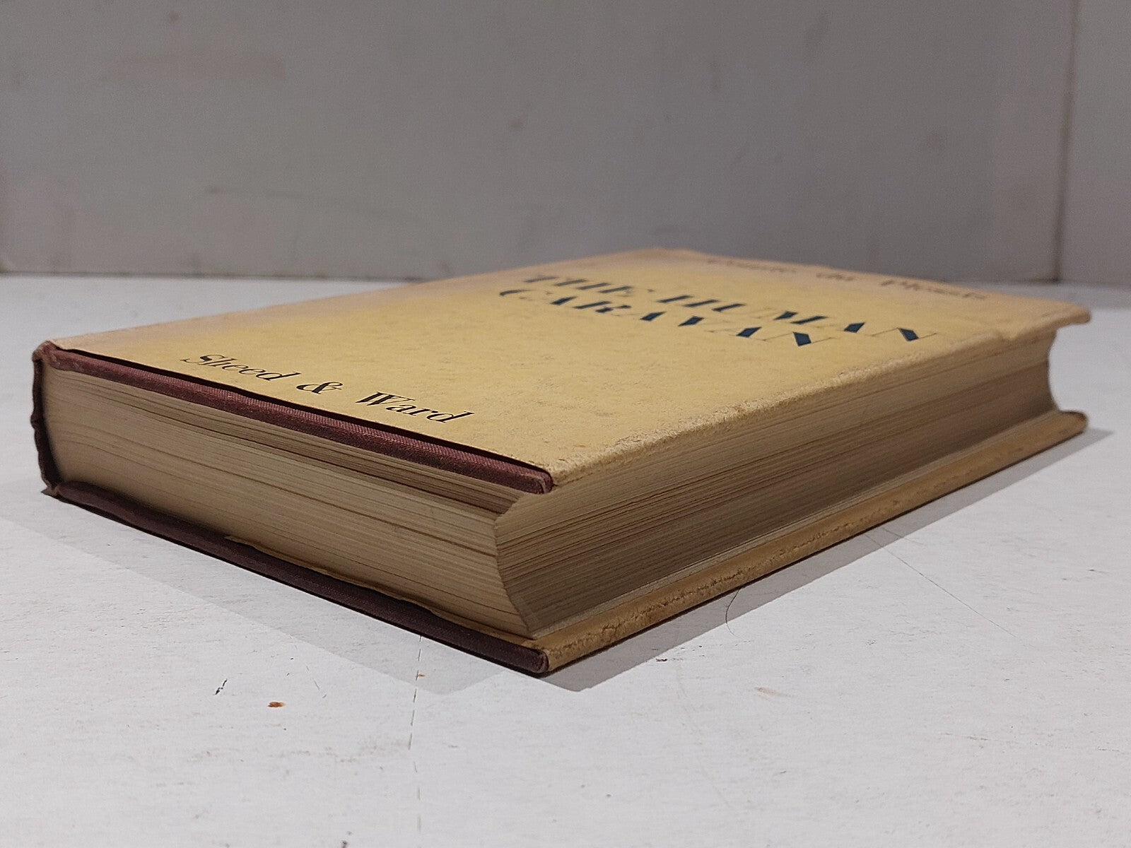 The Human Caravan By Comte / Jean Du Plessis, Sheed & Ward (1938) Hb Book5