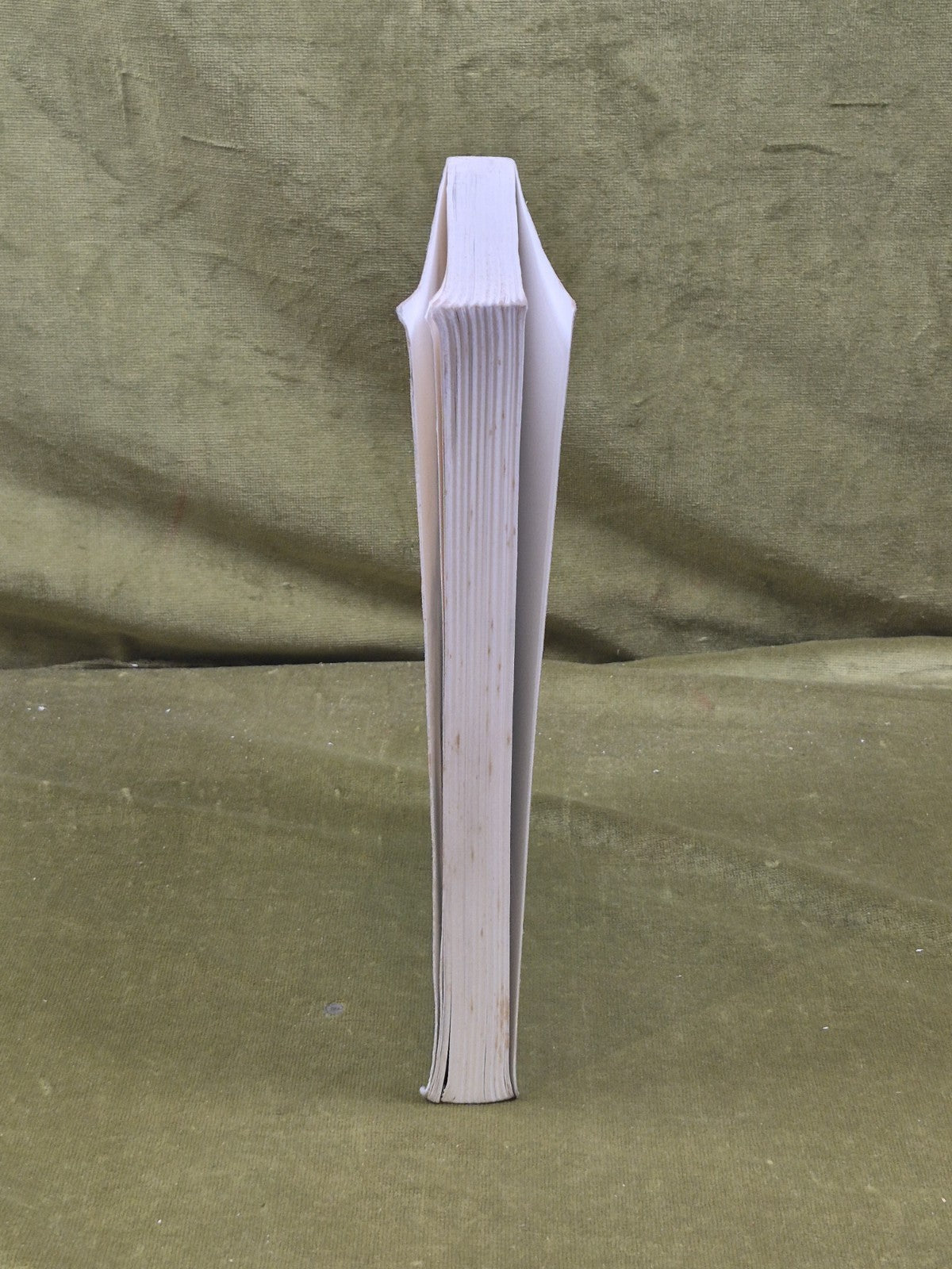COASTAL VEGETATION - V J Chapman,  Pergamon 1976 Softcover 2nd Ed6