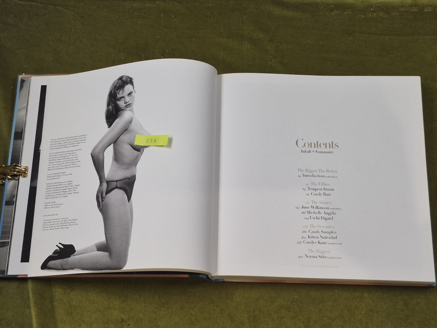 The Big Book of Breasts by Dian Hanson , Taschen 2006 HB DJ4
