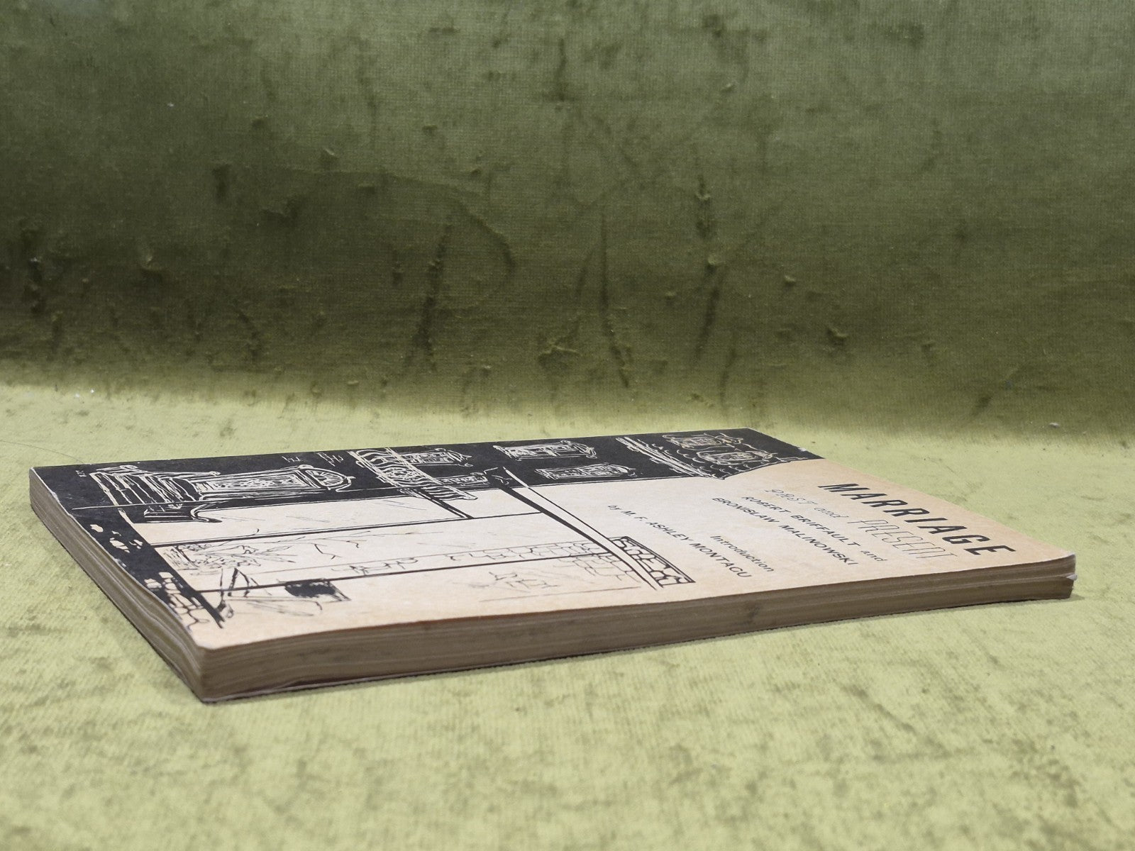 Marriage Past And Present - Briffault & Malinowski [Porter Sargent] Pb Book4