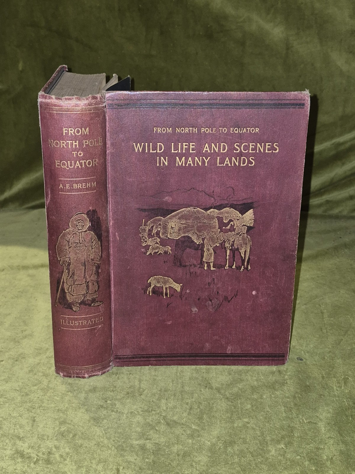 From North Pole To Equator Wild Life And Scenes In Many Lands - Brehm 1st 18970