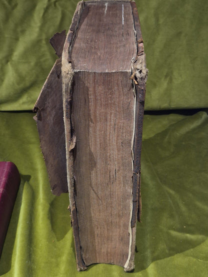 1637 Greek-Roman Lexicon - In Quo Ex Primitivorum - Ioannis Scapulae - Leather16