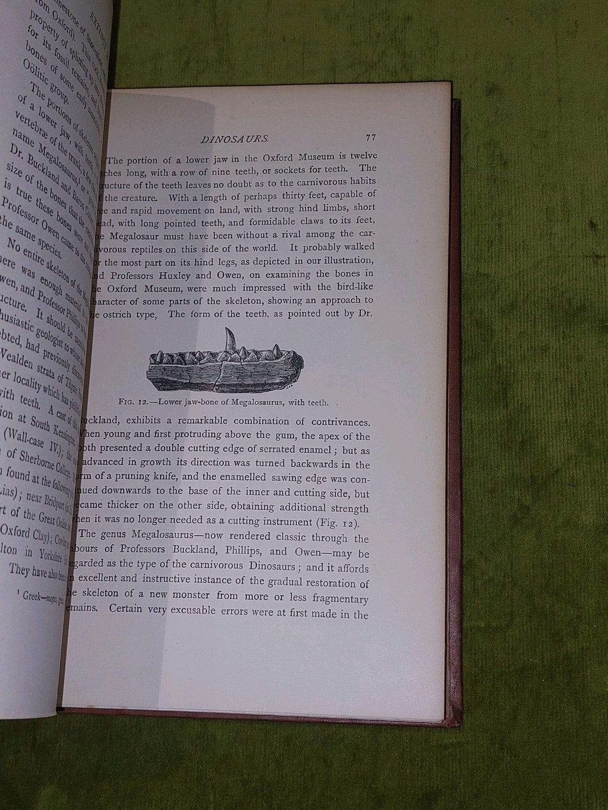 Extinct Monsters - Rev H N Hutchinson (1897) [Chapman & Hall] 5th Ed Hb Book6