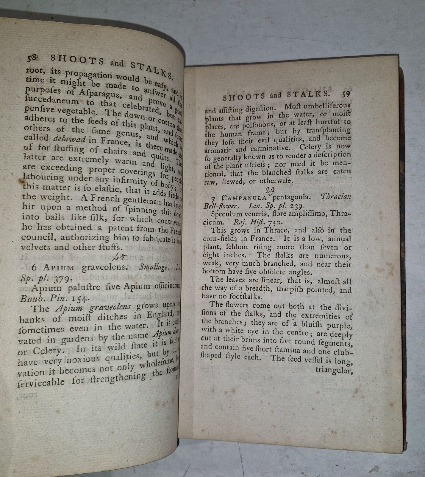 1783 Flora Diaetetica or History of Esculent Plants By Charles Bryant 1st Editn12