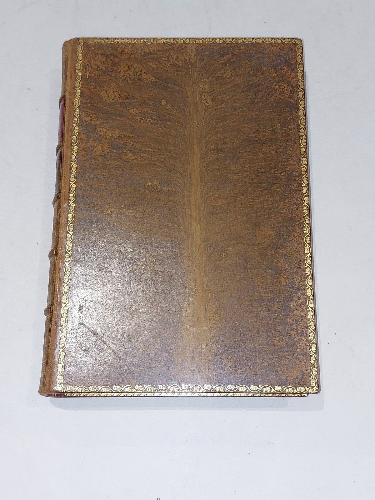 The Works of Robert Burns [6 vol set] W Paterson (1870s) Leather Fine Binding 3