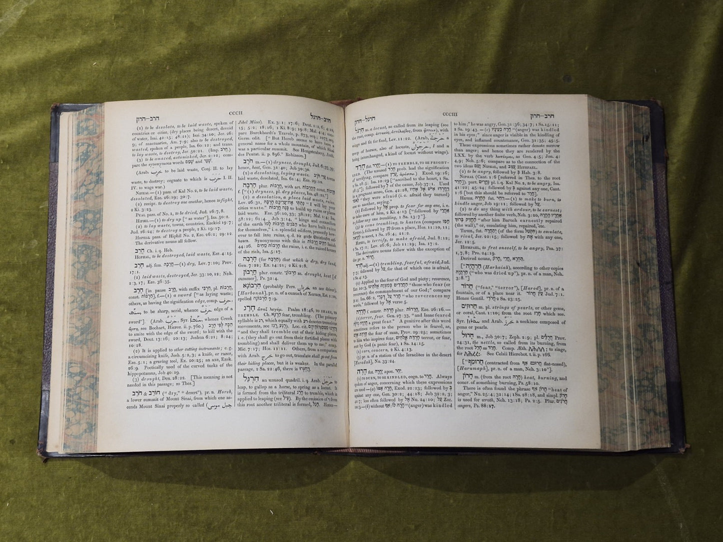 Gesenius's Hebrew and Chaldee Lexicon to the Old Testament Scriptures - 18576