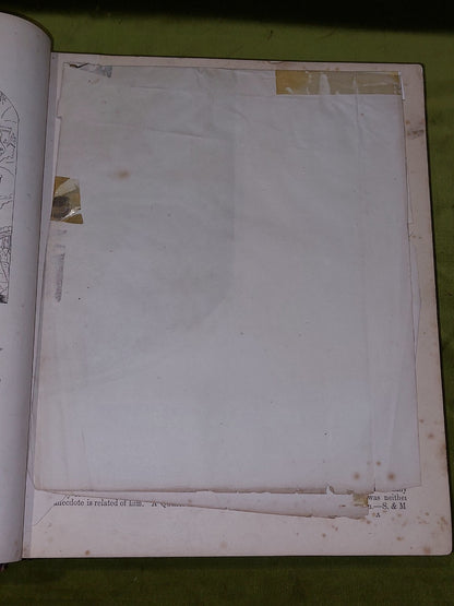 The Pilgrim's Progress & Other Works of John Bunyan (1861) William Mackenzie7