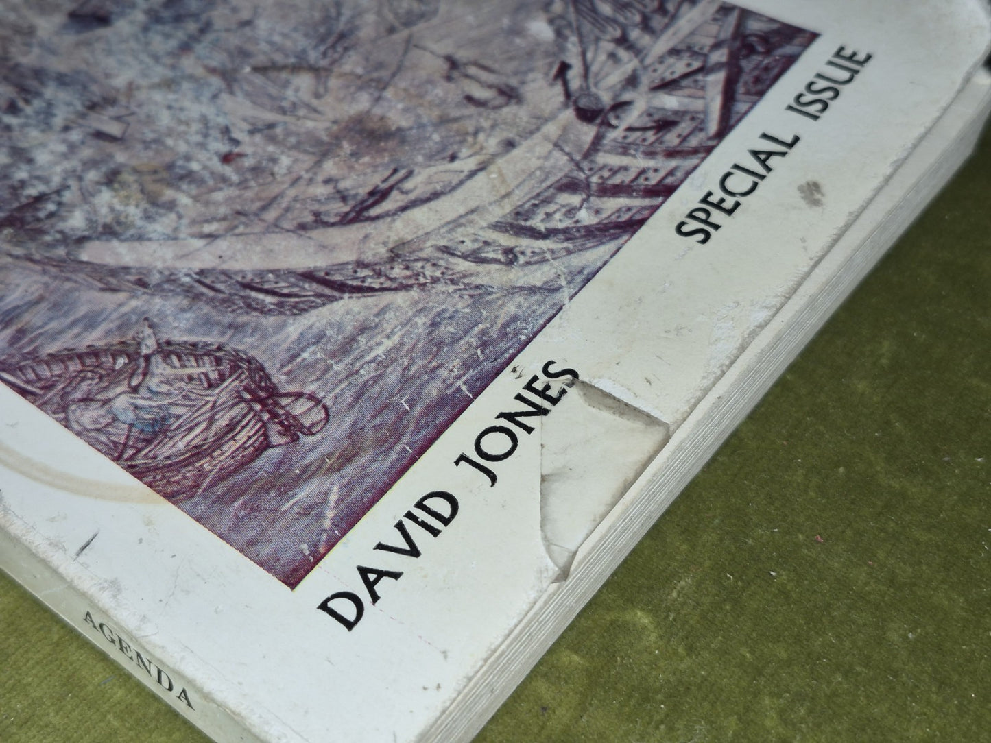 David Jones Agenda (1973)5