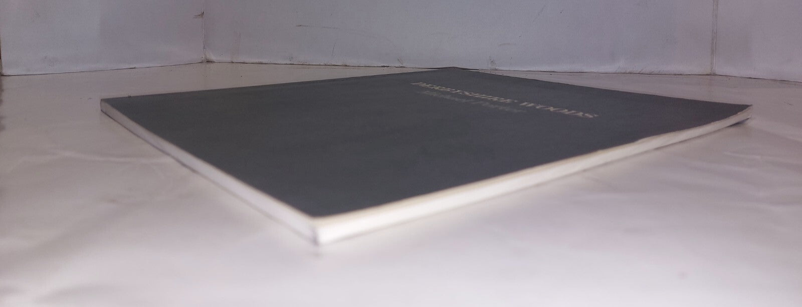 Derbyshire Woods, Michael Porter, Fabian Carlsson Gallery (1988) Book3