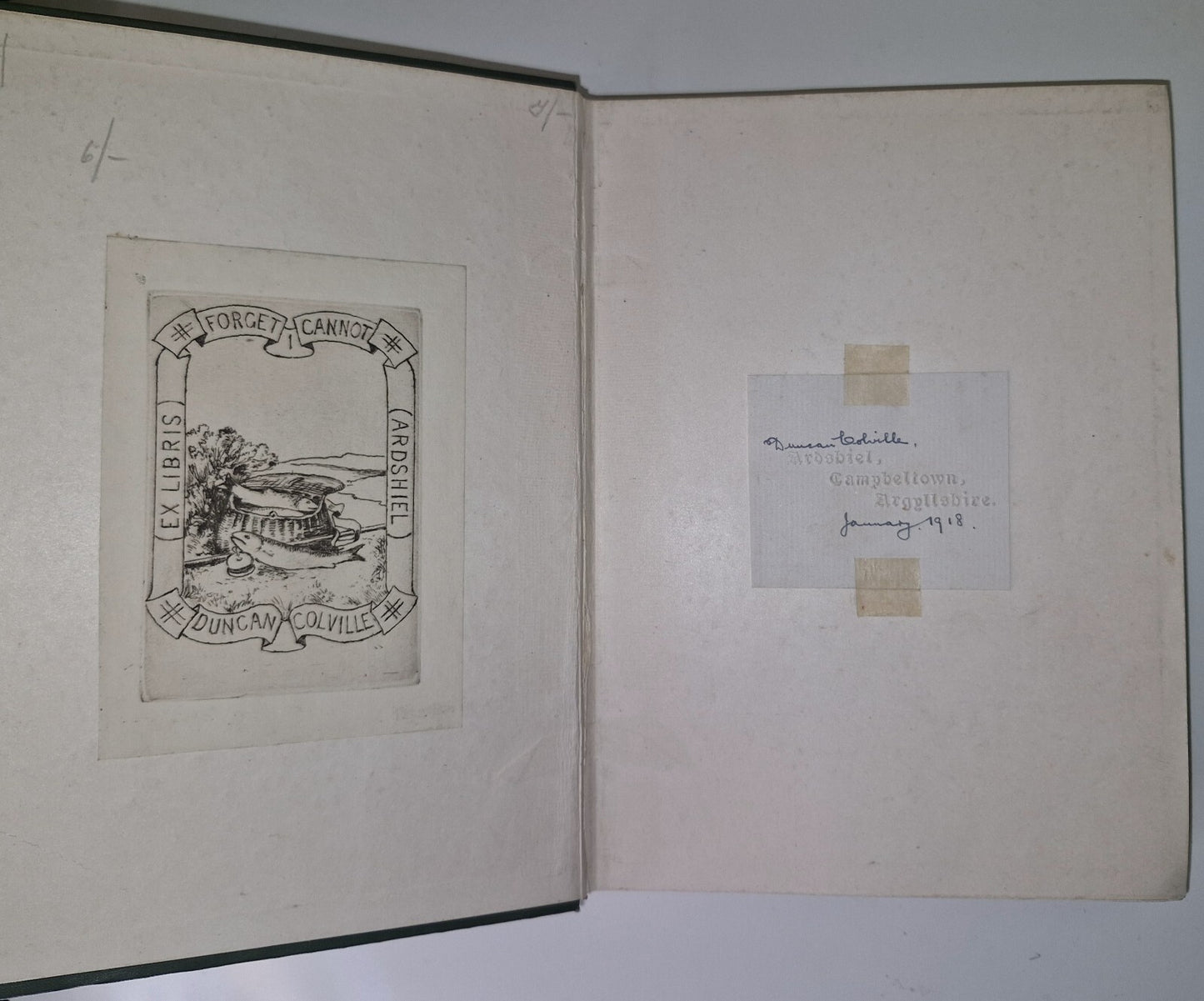 The Bird Its Form And Function By C. William Beebe 19076