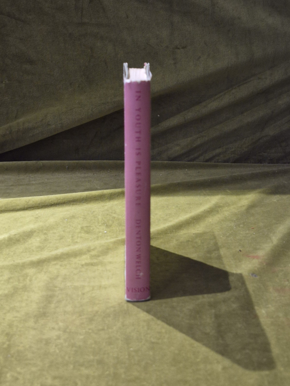 In Youth is Pleasure - Denton Welch , Vision 1958 reprint HB DJ2