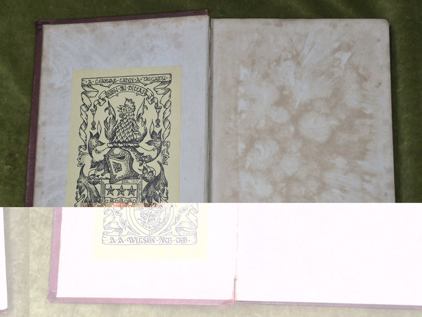 Memoirs of Clan Fingon 1899 First Edition Donald Mackinnon2