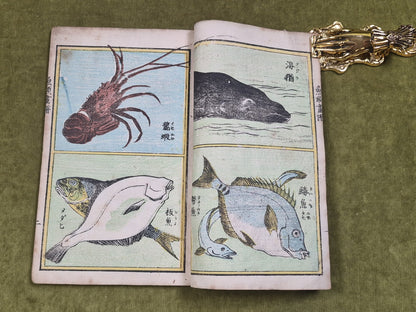Seisai Yoshimura Utagawa 歌川芳邨 Ohashido Fish Book gyorui syo 魚類書譜大橋堂板 Woodblock8