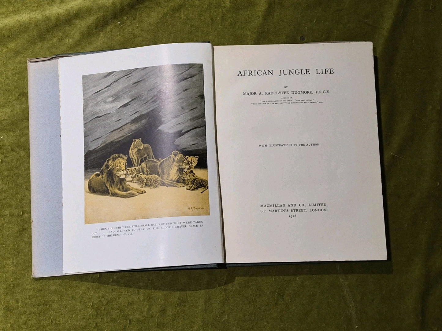 African Jungle Life - Major A. Radclyffe Dugmore - 1928 Macmillan DJ4