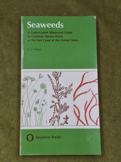 Seaweeds East Coast of the United States 1977 Hillson0