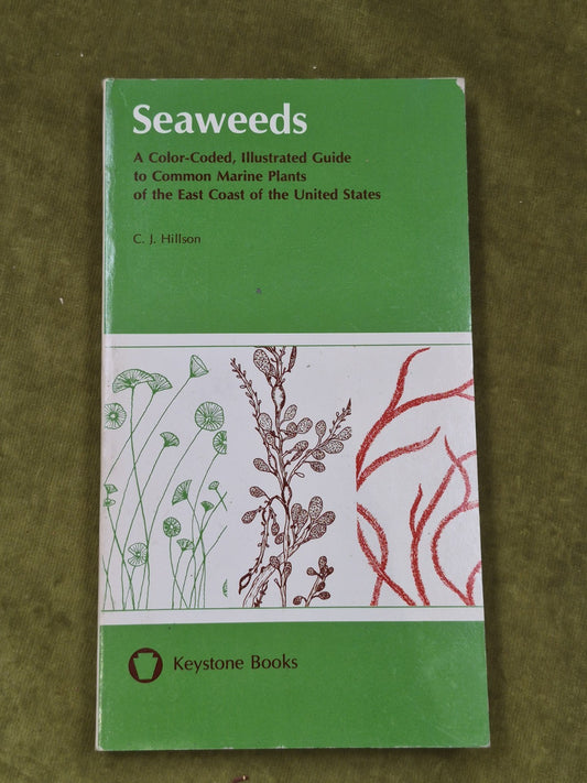 Seaweeds East Coast of the United States 1977 Hillson0