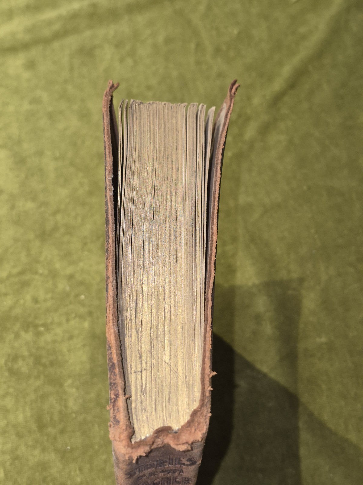 Stories from Wagner 1913 Walker McSpadden2