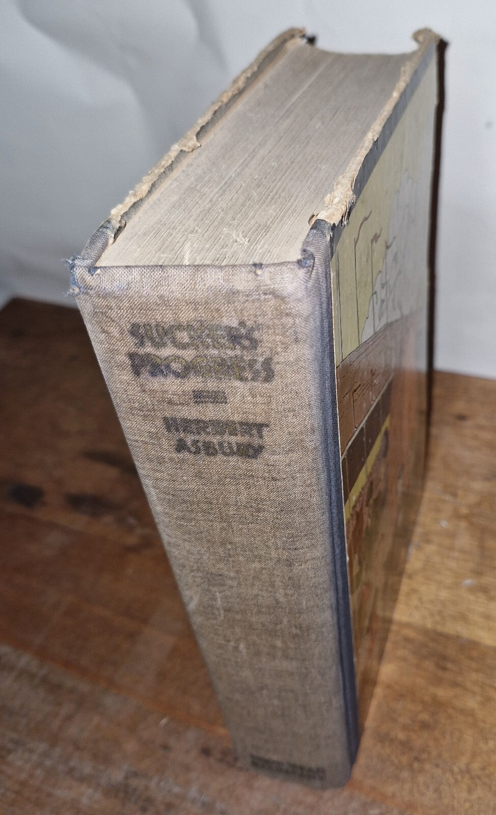 SUCKER'S PROGRESS by Herbert Asbury - 1938 Hardcover First Edition Illustrated 2
