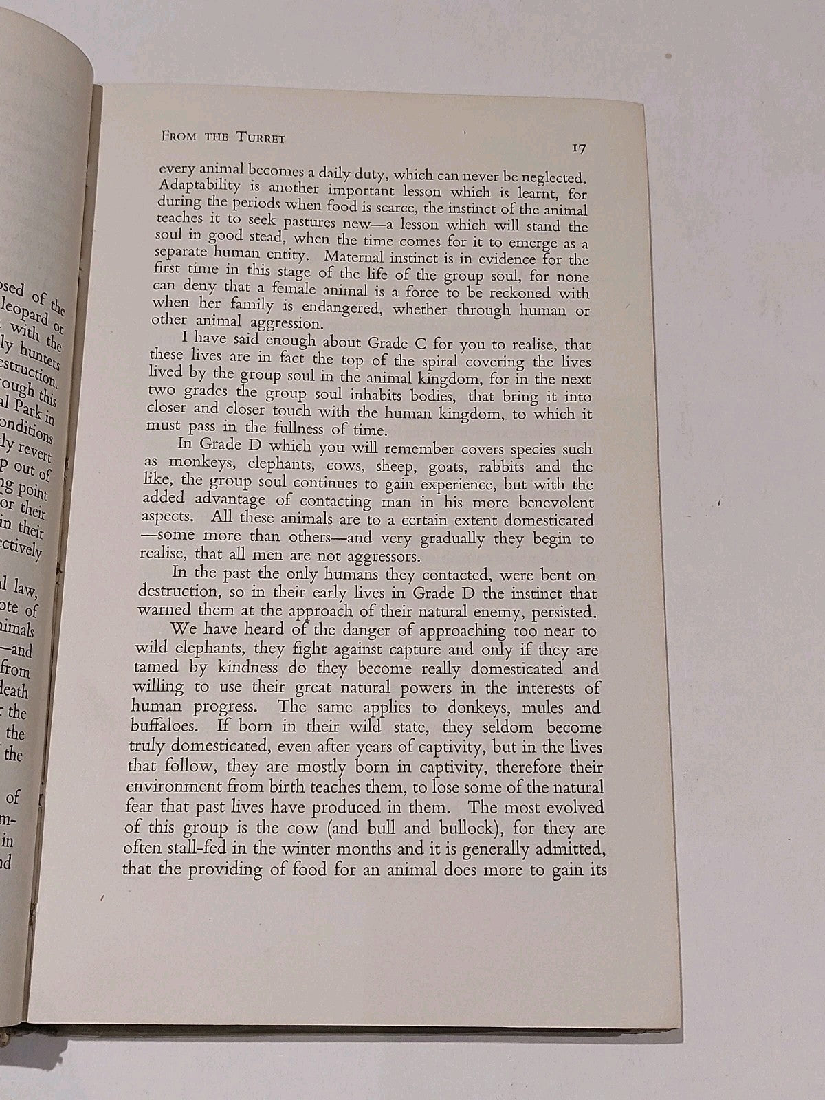 From The Turret : An Occult Novel By Peter Richelieu Rare 1st Edition Hb & DJ7