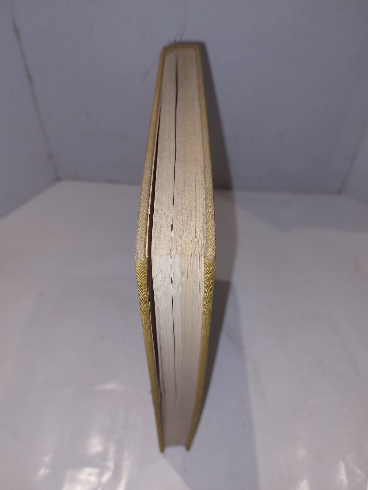 Mediaeval Book Illumination in Europe, W.W.Norton & Company (1968) Hardback Book1