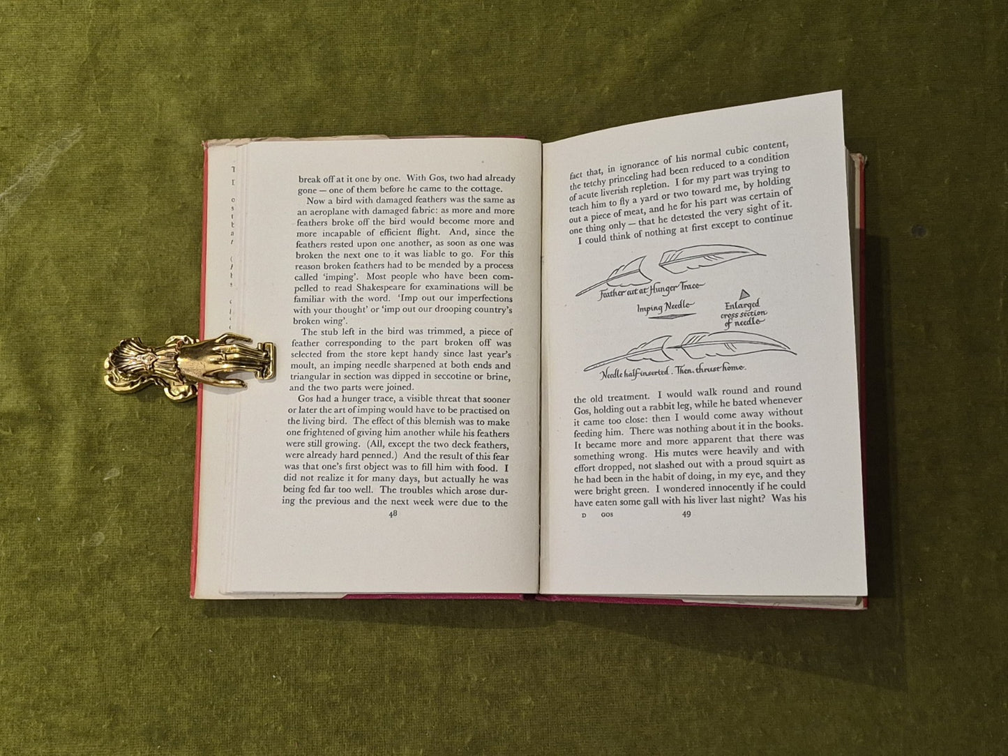 The Goshawk - T H White Jonathan Cape - 1951 1st Edition7
