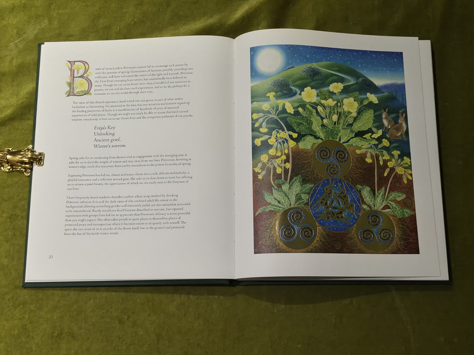 Weeds in the Heart - Nathaniel Hughes Fiona Owen Limited 1st Edition Signed 20168
