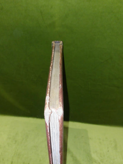 Relics of Ancient Architecture and other Picturesque Scenes in Glasgow (1885)2