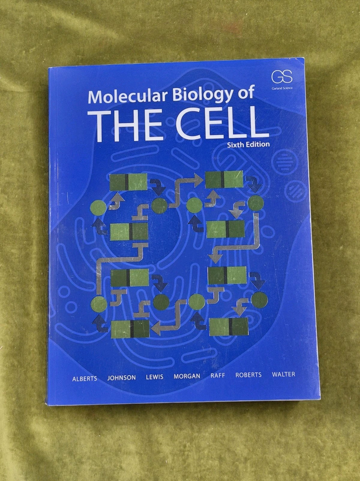 Molecular Biology of the Cell 6th E dition - Garland Science Textbook0