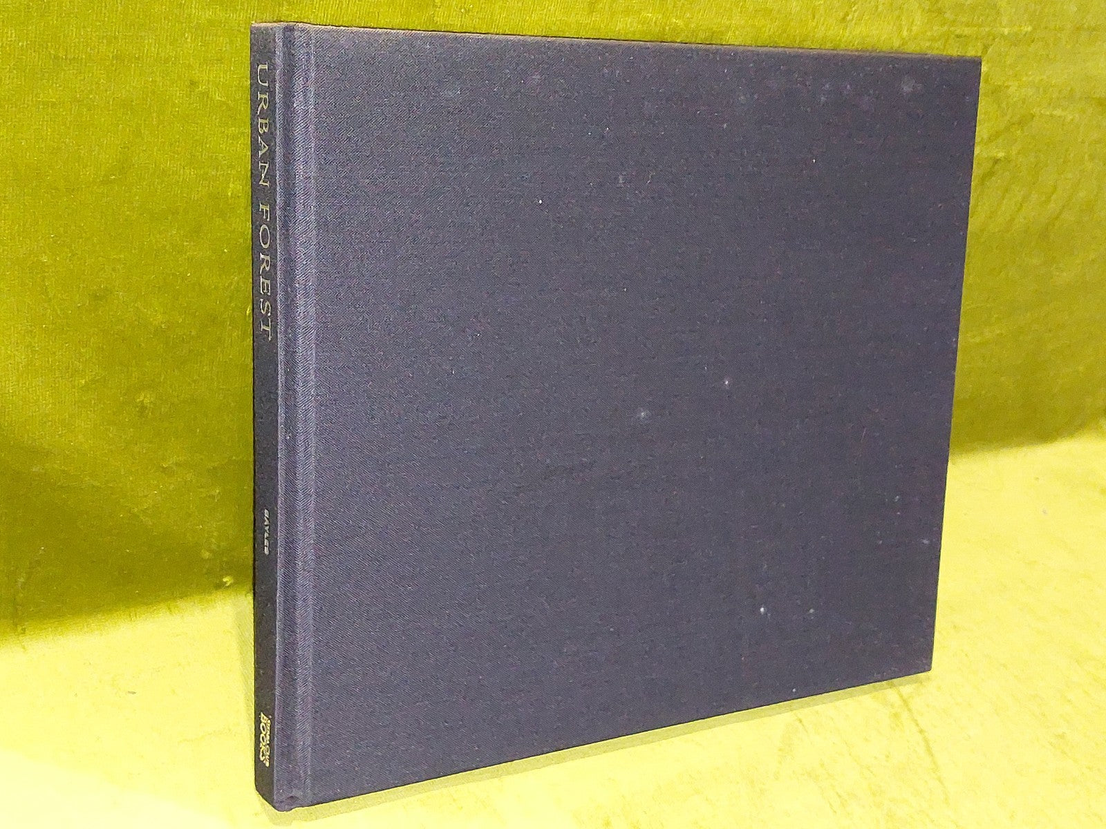 Urban Forest (2003) David Paul Bayles3